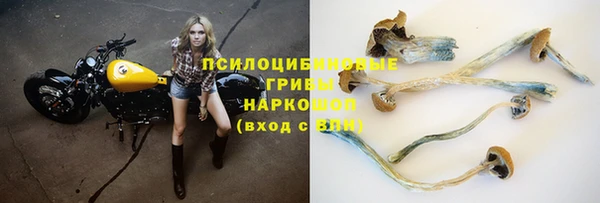 трава Алзамай