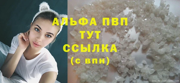 амф Дубна